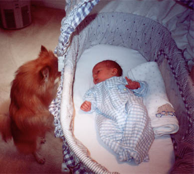 Percy Takes a Look at the Baby