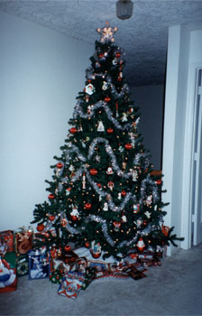 Our Tree